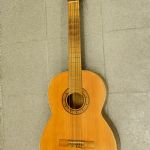 815 7497 GUITAR